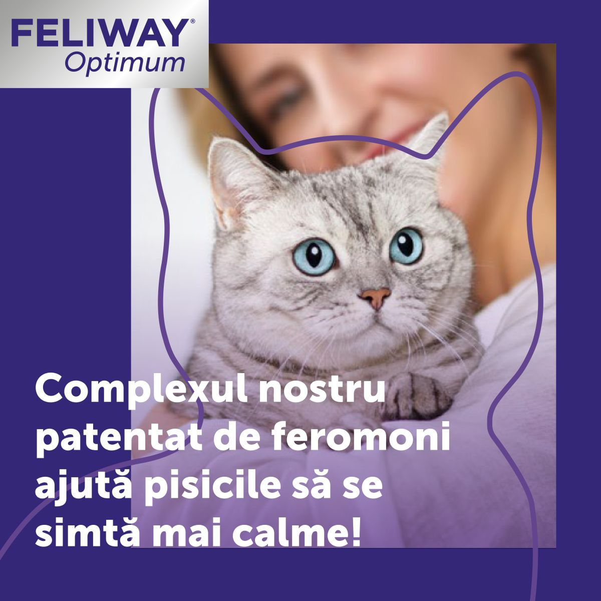 FELIWAY Optimum Rezervă diffuser, feromoni, sistem nervos &amp; calmante pisici, 48ml